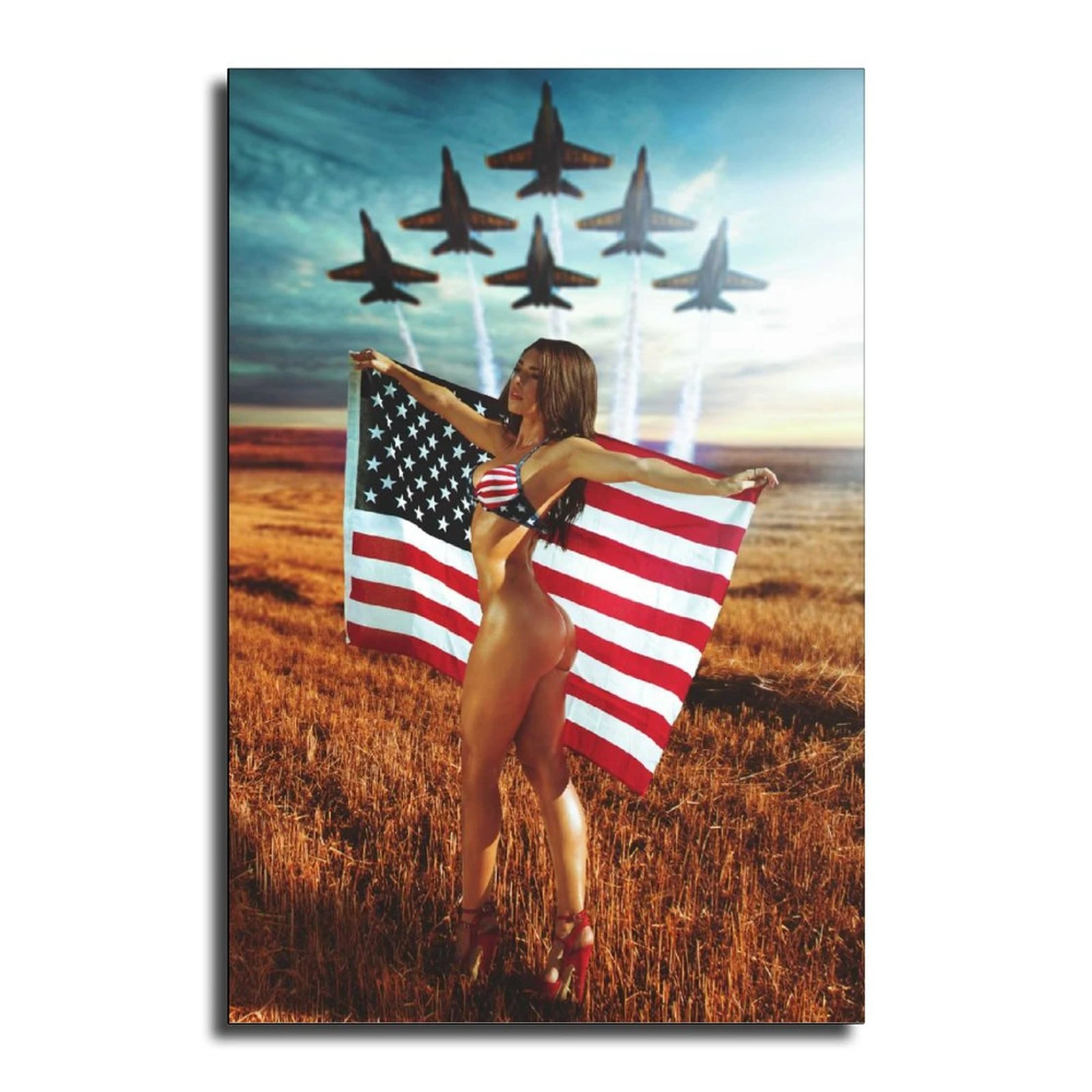Sexy Pin Up Hot Model Flag Canvas Art