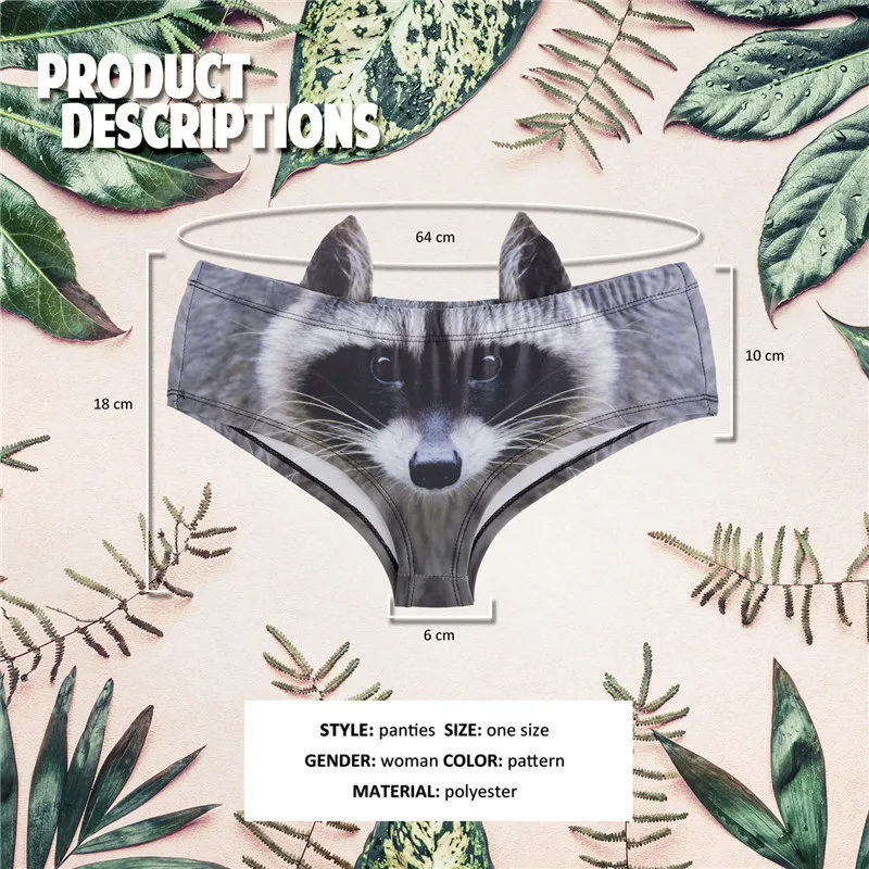 41071 raccoon (0)