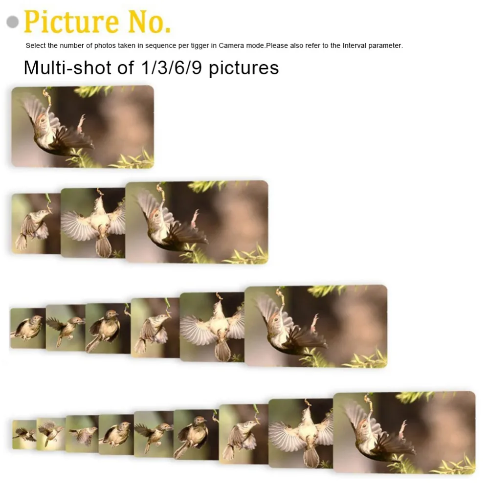 195154a3a9c7d367c8f26ef7dc6fff81