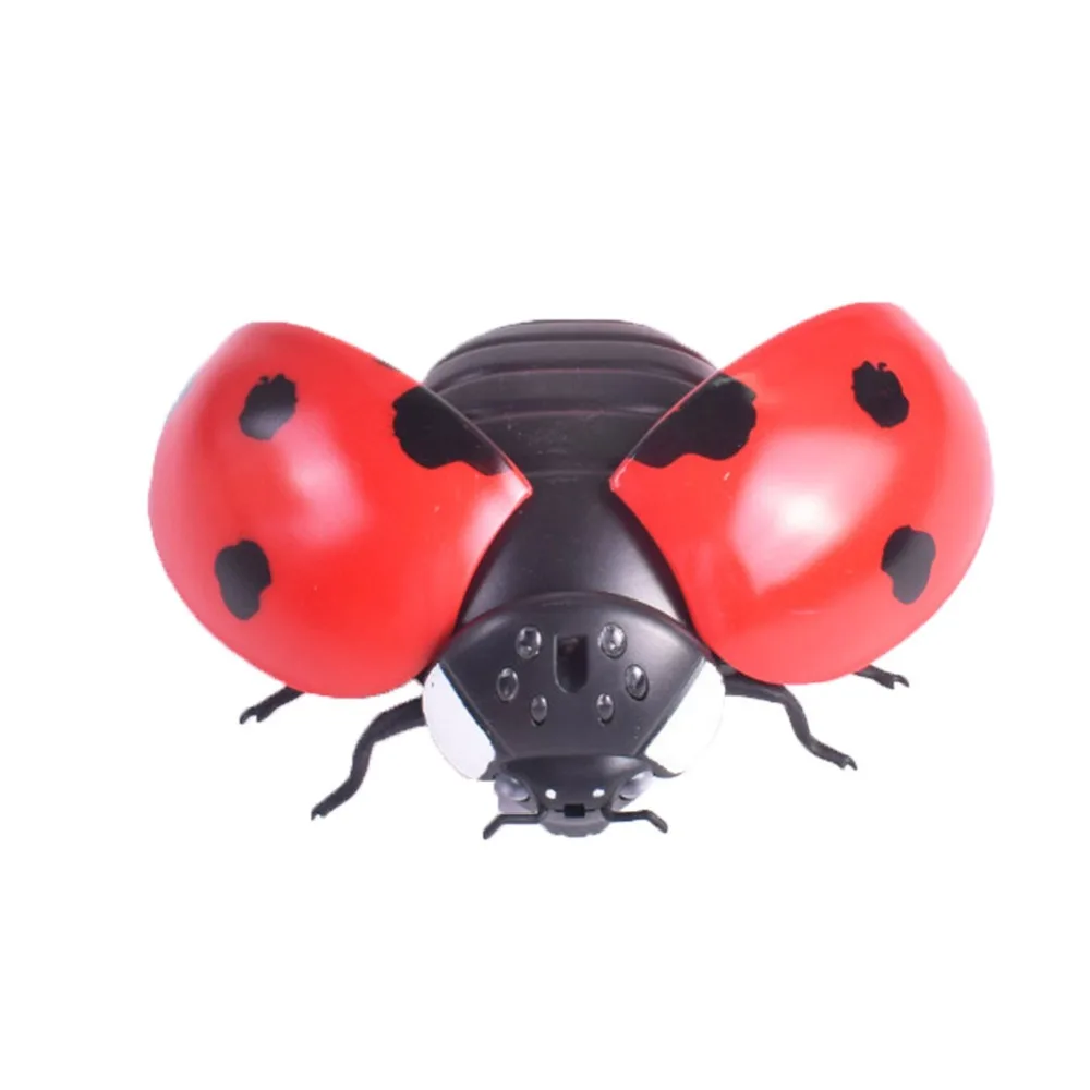 307085_no-logo_307085-1-11-g