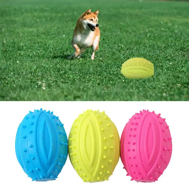 dog chase toy