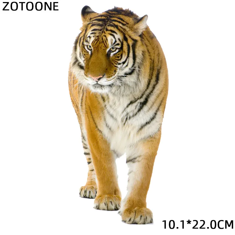 ZOTOONE, большие размеры, железные нашивки в виде динозавра, наклейки для животных, нашивки для одежды, футболки, Термоаппликации, аксессуары для самостоятельной сборки, Аппликации E - Цвет: BZT0104