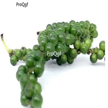 

Ngryise 3000pcs a set Zanthoxylum schinifolium