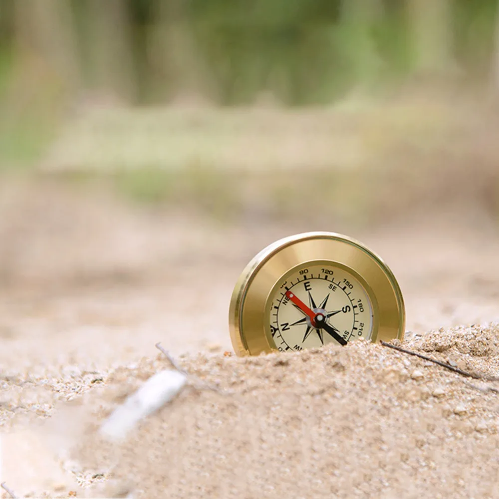 47d8dc1bca01444b38f599ba60334ec5