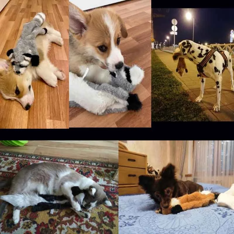 dog toys for aggressive chew.jpg_.webp