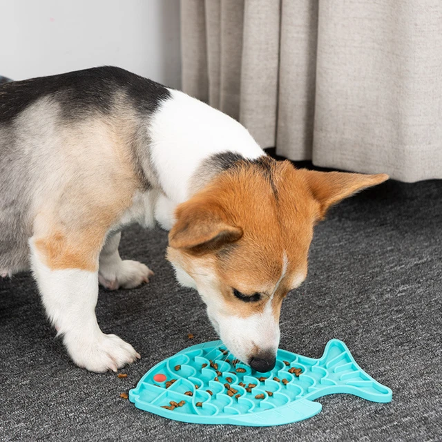 Dog Feeder Slow Eating Pet Bowl Eco-friendly Durable Non-Toxic