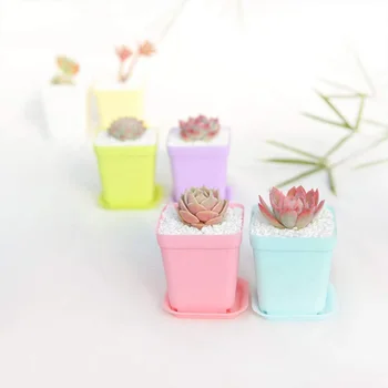 

24Pcs/set Mini Square Plastic Plant Flower Pot Planter Colorful With Pots Trays Flowerpot Garden Supplies