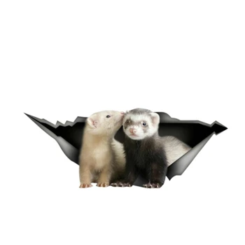 

DAWASARU Custom Ferret Sticker Laptop Decal 3D Pet Graphic Vinyl Decal Car Window Laptop Bumper Animal Car Stickers 13cm X 6cm