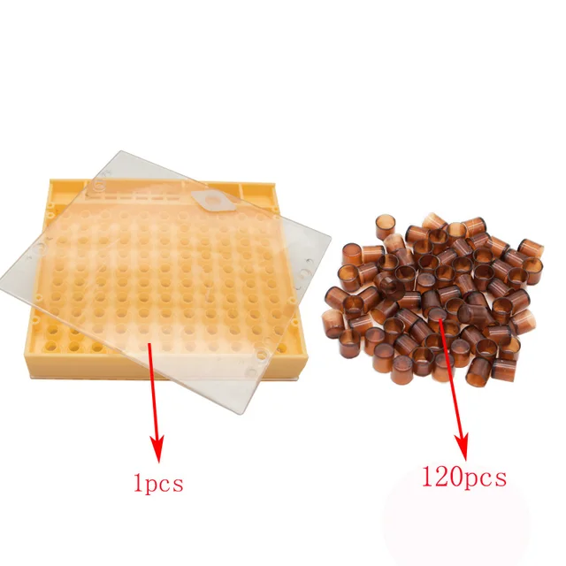 Méhészet Queen Tenyésztő Cella-Készlet Felszerelés Apikulturális Rendszer Méhkártya Queen-Lee Set Király Szerszámok Beszállítói Cellái