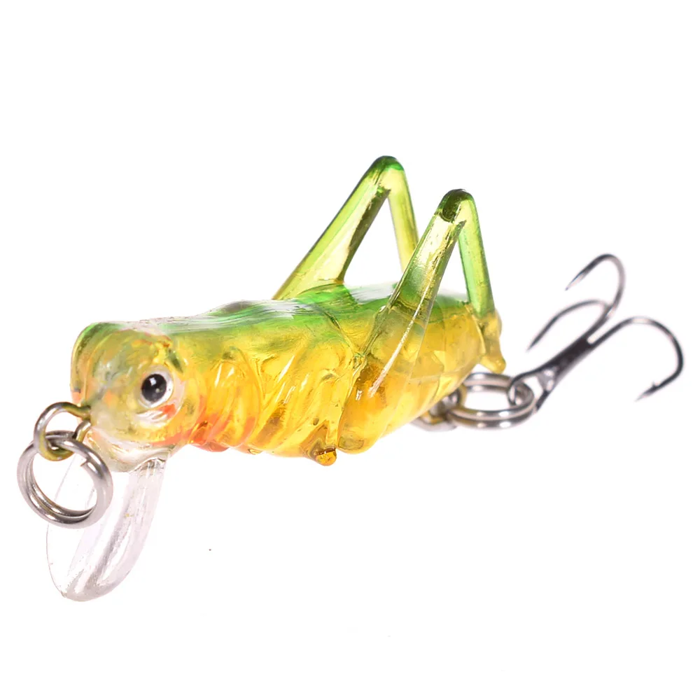 H81536383651_DSC_3319