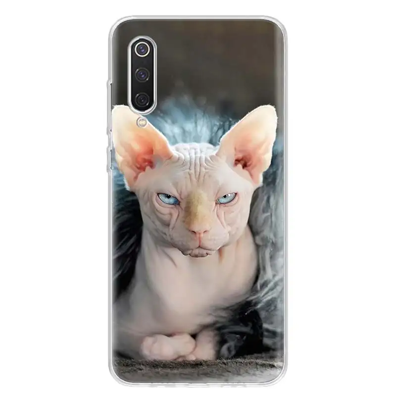 TW001-2 Кошка Сфинкс крышка чехол для телефона для Xiao mi Red mi Note 8 Pro 8A 7 7A 5 5A 6A 4X S2 K20 mi 5X6X9 8 CC9 F1 корпус под плетенную сумку - Цвет: TW001-2