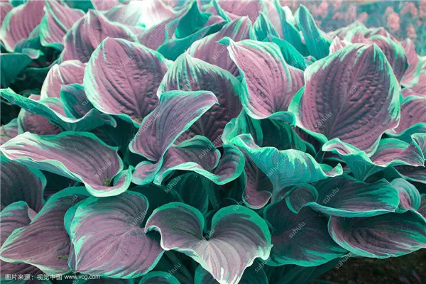 20190926_212939_110