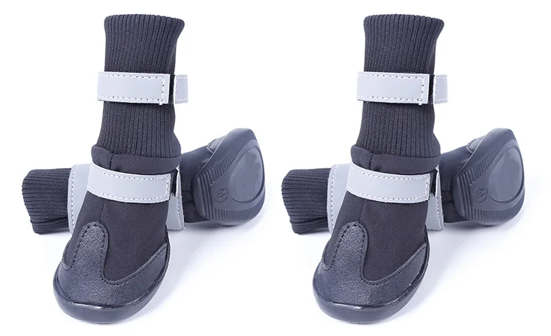 2636738542_448850444