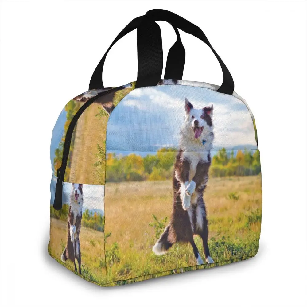 

NOISYDESIGNS 2019 Portable Thermal Insulated Lunch Bags Animals Dogs Printing Picnic Handbags Bolsa Termica Lonchera Para Mujer