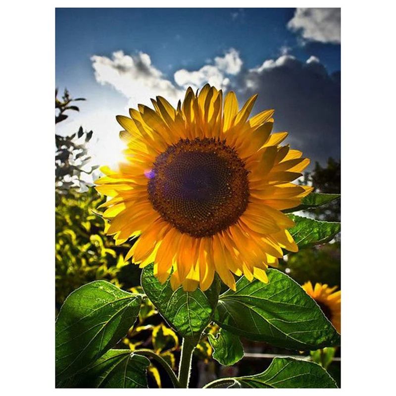 Diy 5D Diamond Painting By Number Kit for Adult Full Drill Embroidery Dotz Home Wall Decor-11.8X15.7 Inch(Sunflower | Дом и сад
