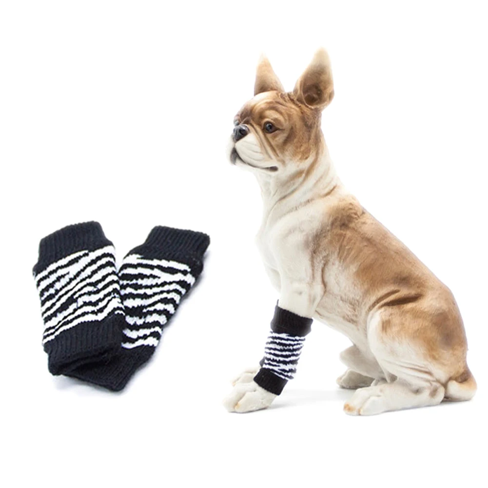 How To Put Socks On A Dog