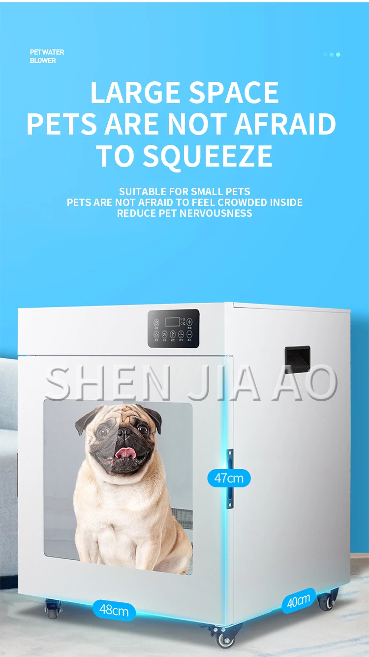 Why Are Dogs Afraid Of Bags