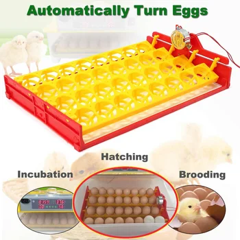 

32 Eggs Positions Automatic Hatchery Machine 110V Chicken Eggs Incubator Trays with Auto Turn Motor Farm Poultry Hatching Device