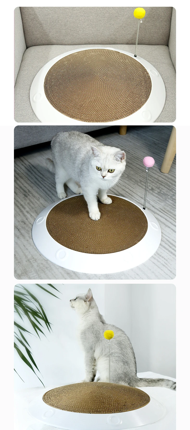 19489859340_1432003957