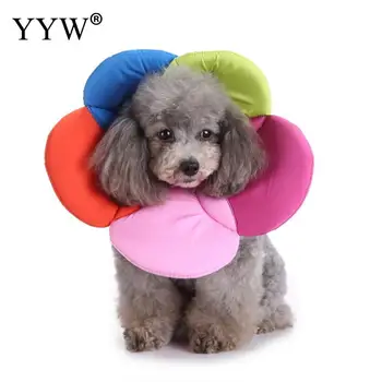 

Flower Shape Pet Headgear Pet Products For Dog Care Prevent Bite Collar Adjustable Wound Healing E-Collar Pet Grooming Collars