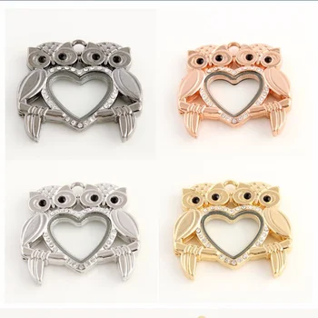 

10Pcs/Lot Metal Rhinestone Heart Double Owl Shape Floating Locket Magnetic Glass Living Memory Locket Pendant Jewelry