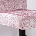 Velvet Color 2