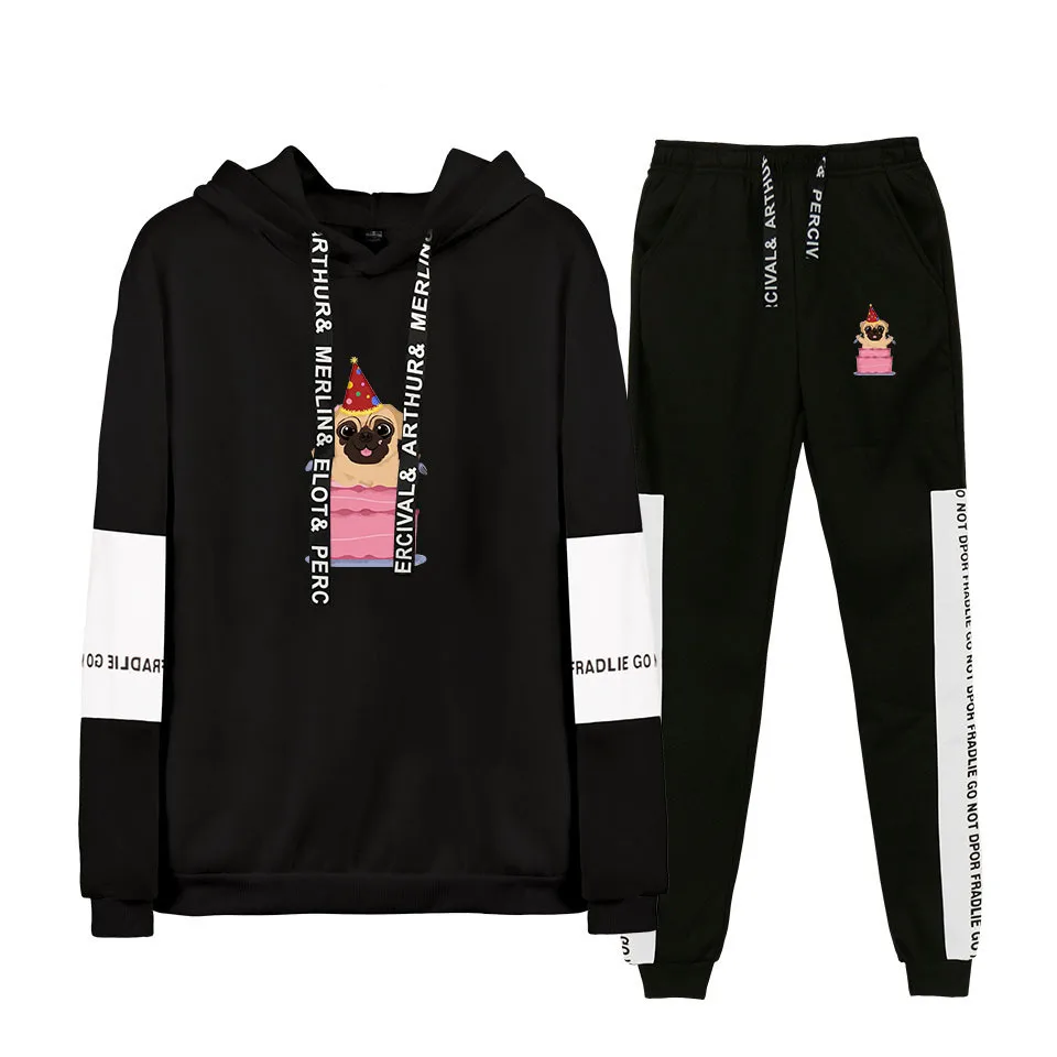 

2019 New Style Hot Sales New Style Pug Dog Hoodie Suit