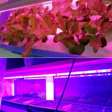 5 шт./компл. светодиодный светильник для роста растений s заполняющий светильник цветок теплицы светильник ing US Plug