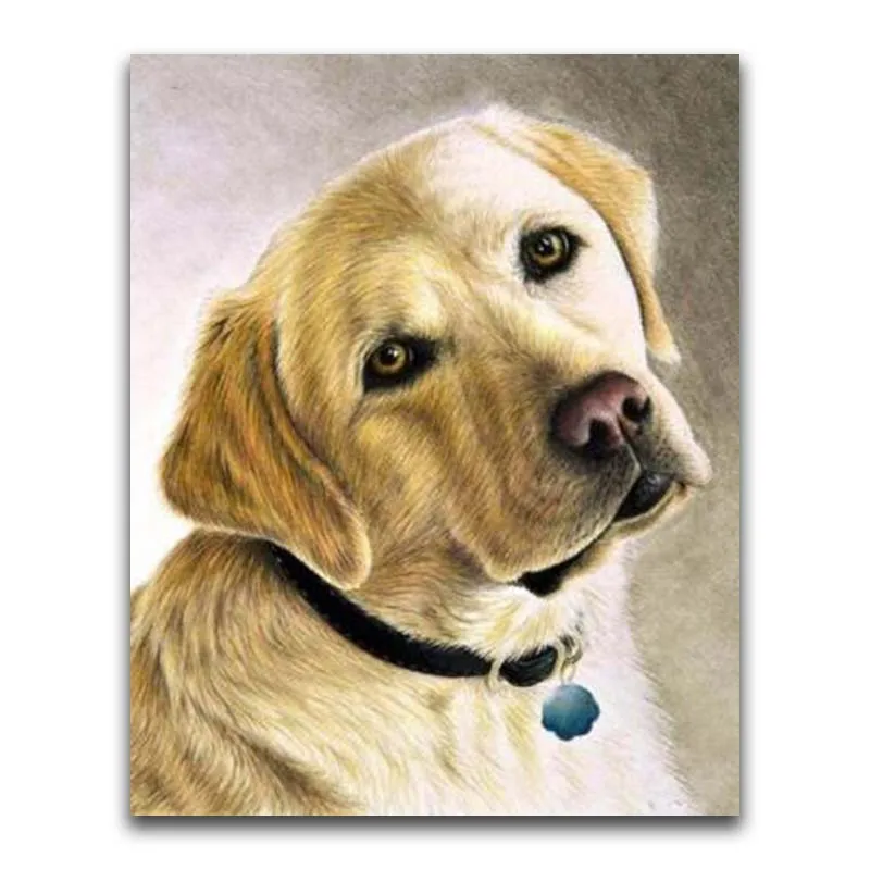 5D Бриллиантовая мозаика ручной работы изображение собаки из страз вышивки крестом полный вышивка стразами рисунков животных узоры из страз искусства на Рождество - Цвет: 5