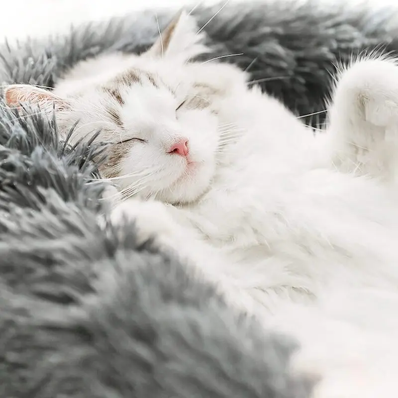 VIP LINK - Dog Long Plush Dounts Beds Calming Bed Hondenmand Pet Kennel Super Soft Fluffy Comfortable for Large Dog / Cat House VIP LINK - Dog Long Plush Dounts Beds Calming Bed Hondenmand Pet Kennel Super Soft Fluffy Comfortable for Large Dog / Cat House