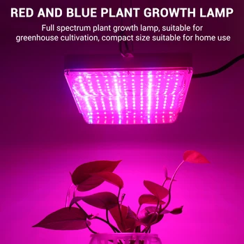 

100W Grow Light Full Spectrum Plant Lighting Fitolampy 120 Led Red+Blue Light Ratio Growing Lamp for Flower Seedling Cultivation