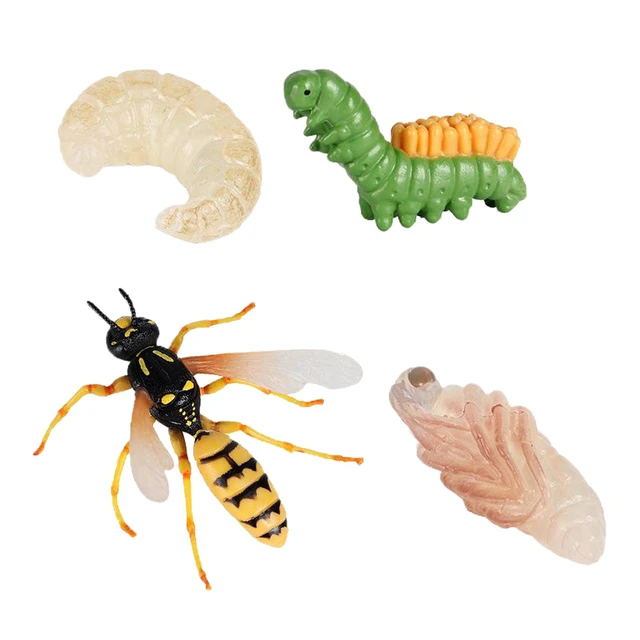 Nature Insect Wasp Lore Ladybug Life Cycle - 4 Pcs Insect Figure