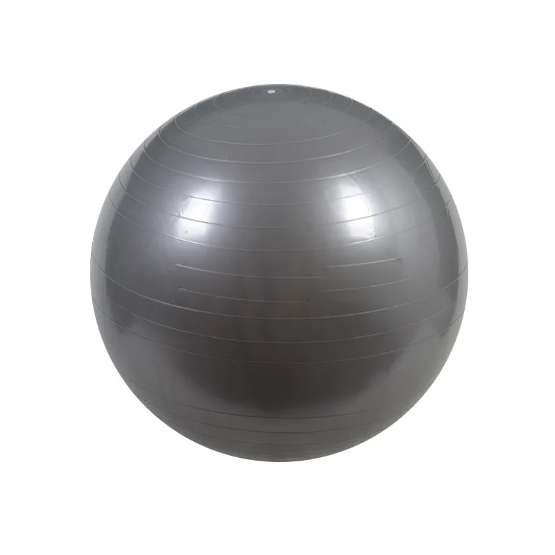 55cm Yoga Balls Fitness Utility Yoga Balls Pilates Balance Sport Fitball Proof Anti-slip for Fitness Train