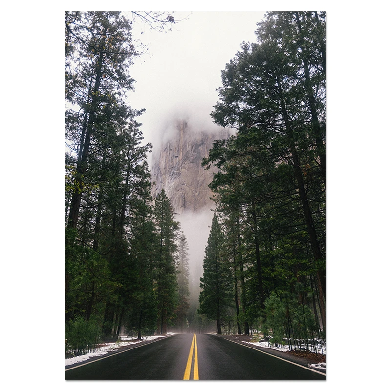 Nordic Nature Landscape Canvas Painting Mountain Wall Art Horse Forest Posters and Prints Pictures for Living Room Home Decor - Цвет: 03