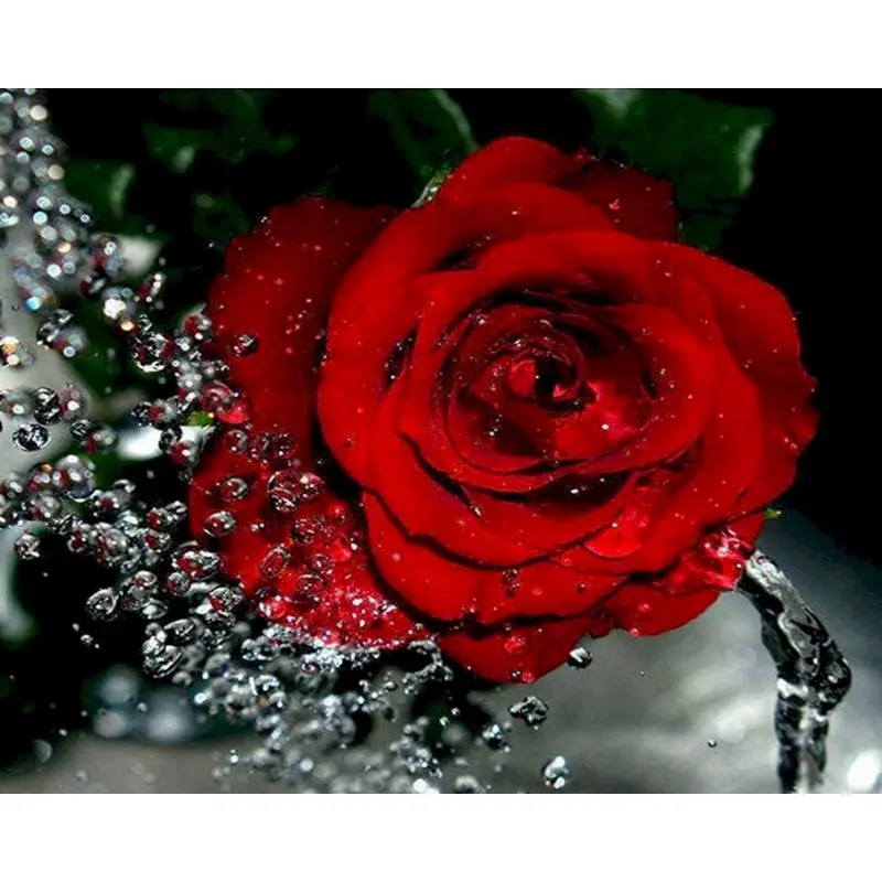 

RUOPOTY Decoration Dripping red rose Painting Handpainted Kits Canvas DIY flowers By Numbers Oil Painting Wall Drawings Art