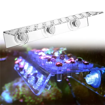 

Transparent Marine Acrylic Aquarium Coral Racks Bracket Holder Live Fish Tank Ornament Suction Cups Pet Fish Accessories