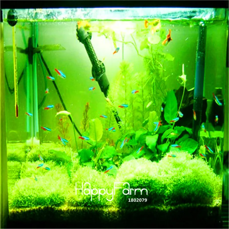 Новое поступление! садовое растение 100 шт мешок Limnophila sessiliflora мох водные растения Флорес, аквариум трава плантас бонсай,# TU4PEL