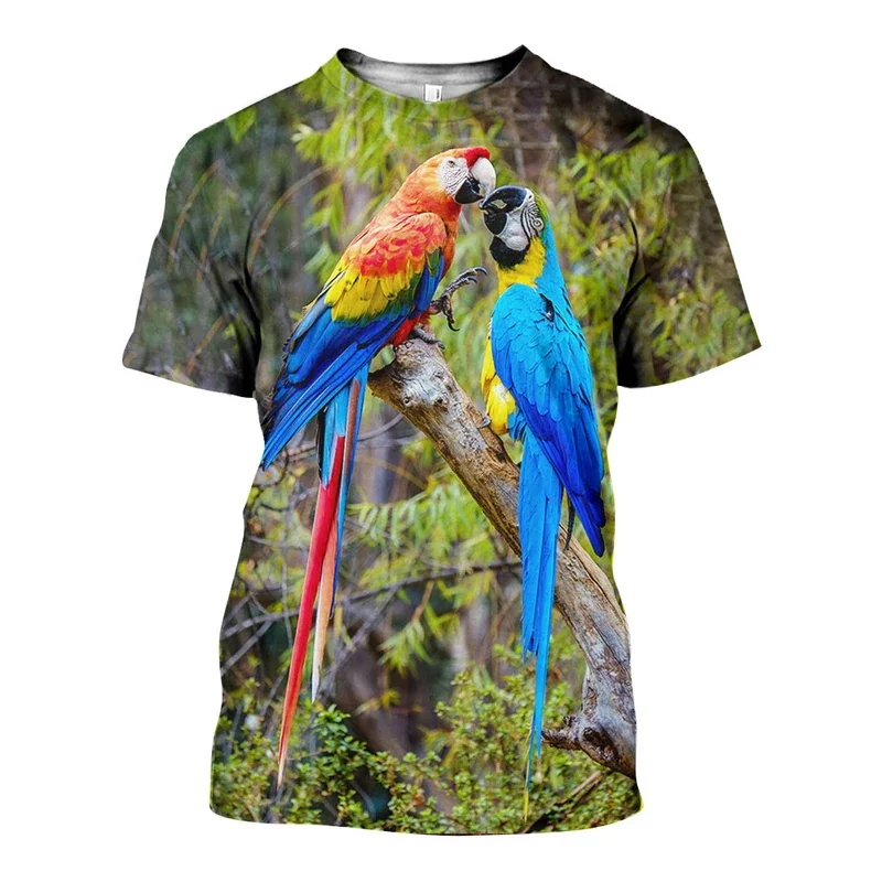 Duc_Parrot_3D_DT101209_ts_800x