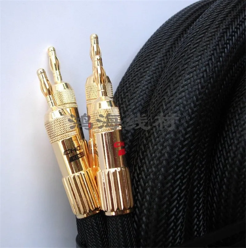 Высококлассный hi Fi кабель для динамика Choseal LA 5101 6N OCC 24K позолоченный Банановый