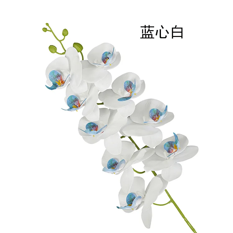 20191129_182254_009