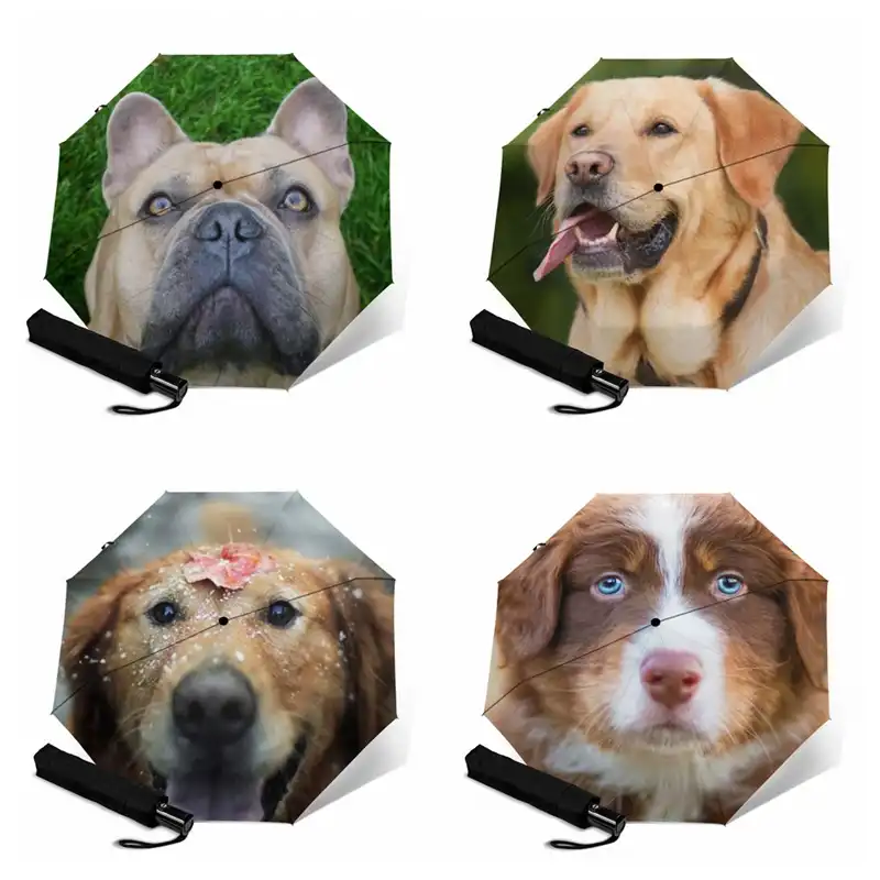 dog umbrella for sun
