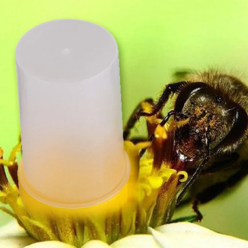 Пчеловодство пчелиный улей воды кормушка пчела питьевой гнездо вход пчеловода чашки инструмент питья гнездо пчеловода инструмент фермы пчеловода# R25