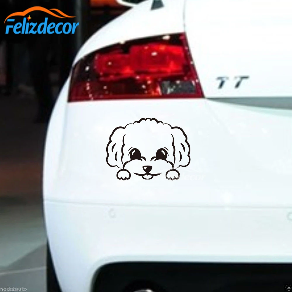 Стикер Chira toy poodle peeks виниловые наклейки для автомобиля с милой собачкой