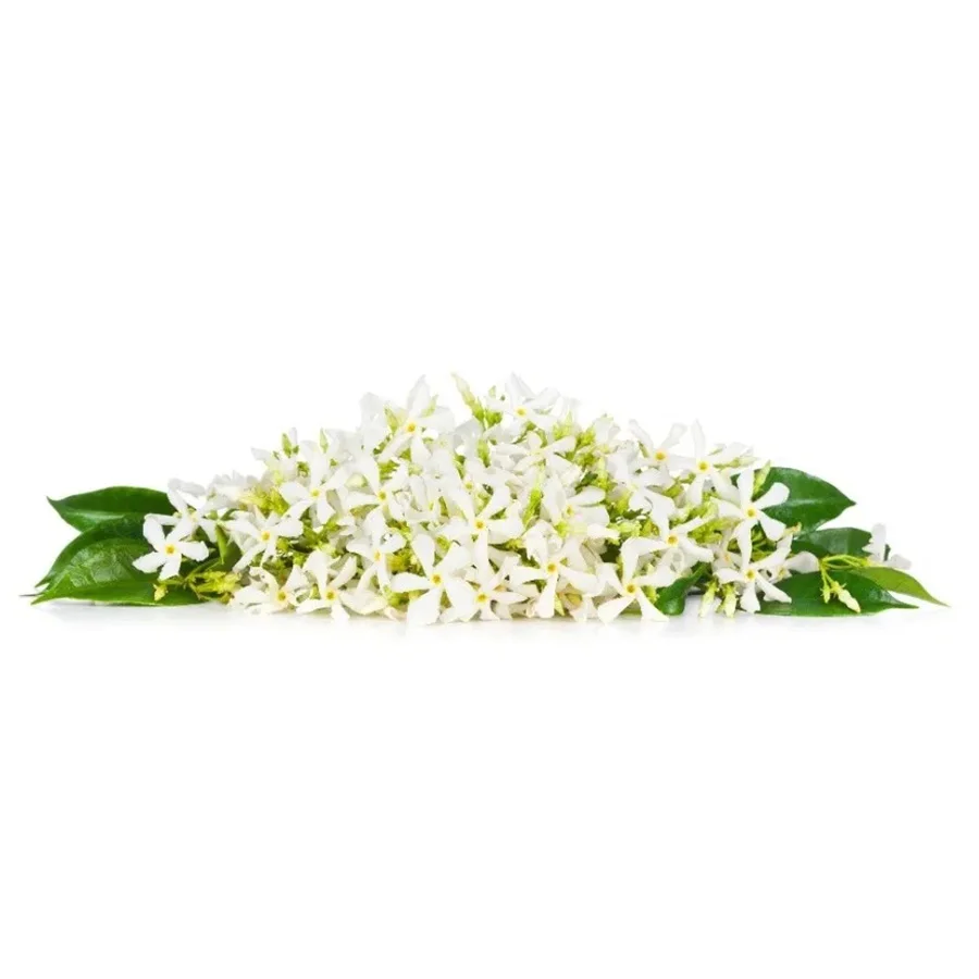 Neroli эфирное масло AKARZ Топ бренд уход за кожей лица и тела спа сообщение аромат