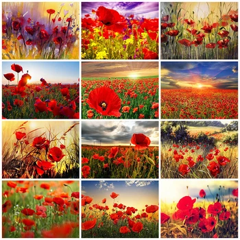 

Evershine 5D Diamond Painting Poppy Flower Cross Stitch Full Square Diamond Embroidery Sale Rhinestone Mosaic Home Decoration