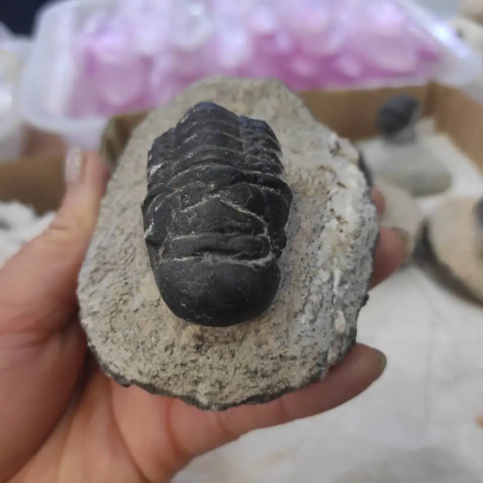 QQ图片20200425145624