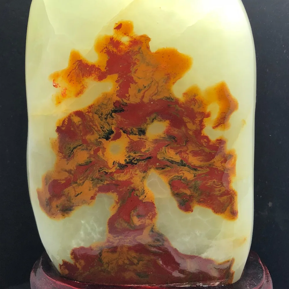 IMG_3251