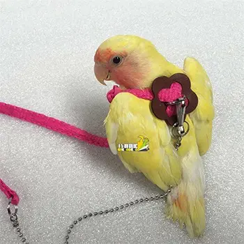 

1.2M Adjustable Parrot Bird Harness Leash Multicolor Light Soft Fashion