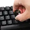 Mouse & Keyboards