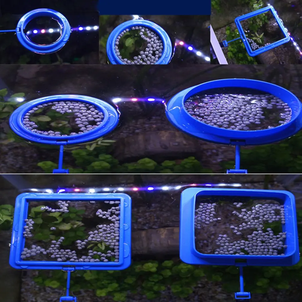 

Aquarium Feeding Tool Feeding Fish Ring Floating Feeding Ring Keep Food for Fish Square or Round Feeding Tool